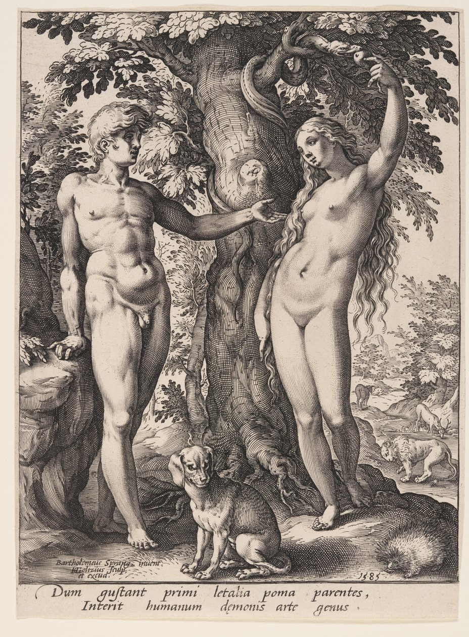 The Fall of Man by Hendrick Goltzius