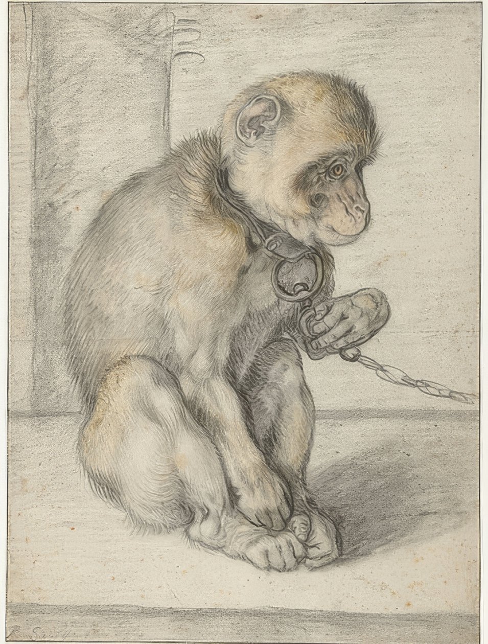 A Sitting Monkey on a Chain. 1592-1602 by Hendrik Goltzius