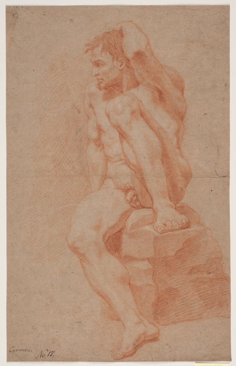 Male Model Study by Hendrik Krock
