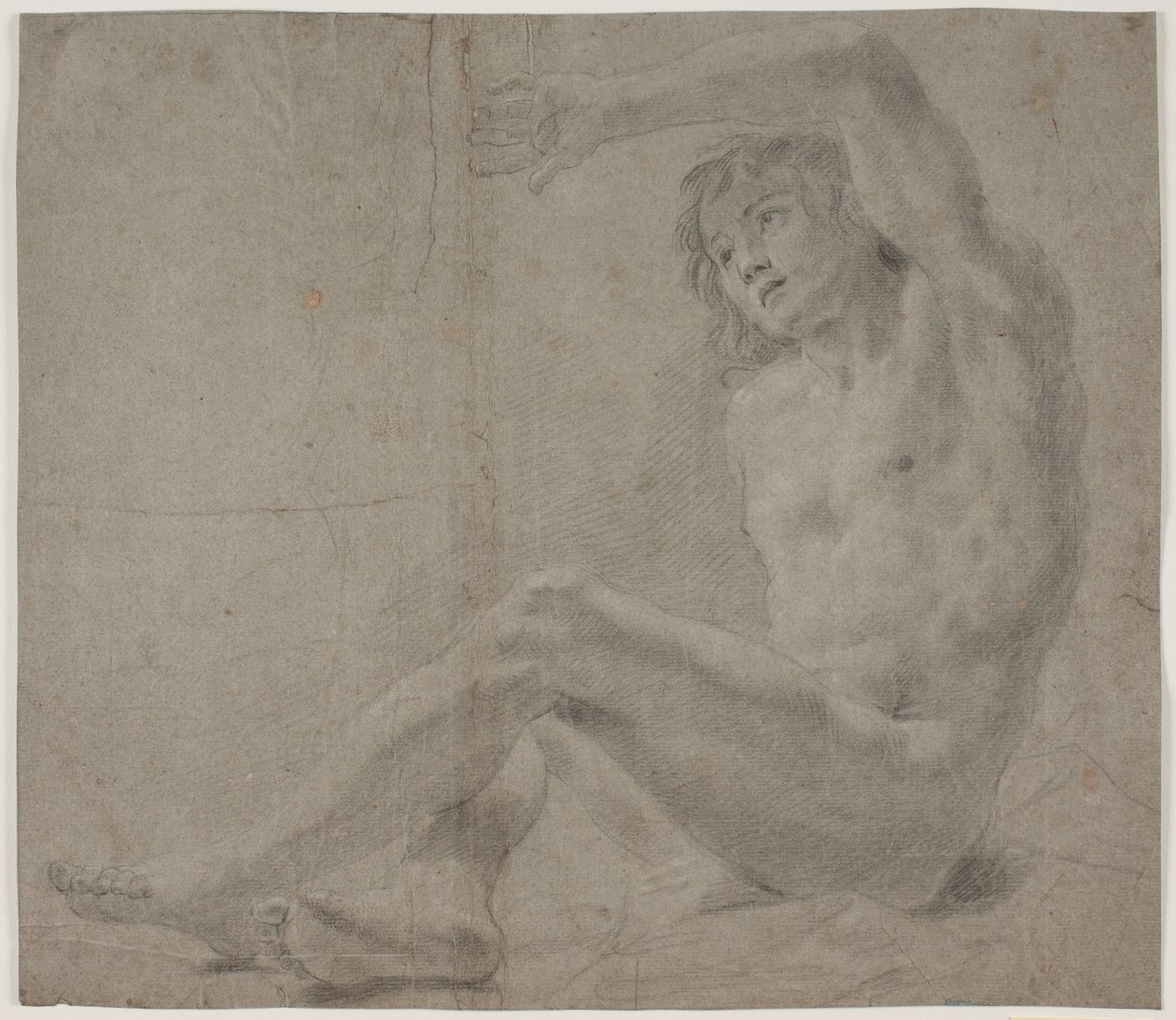 Male Model Study by Hendrik Krock