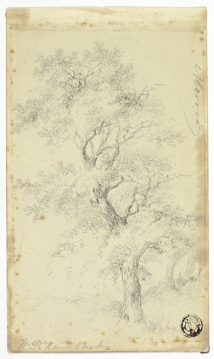 Merron by Hendrik Pieter Koekkoek