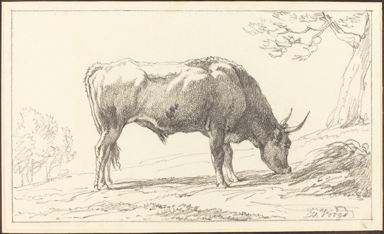 A Young Bull Grazing by Hendrik Voogd