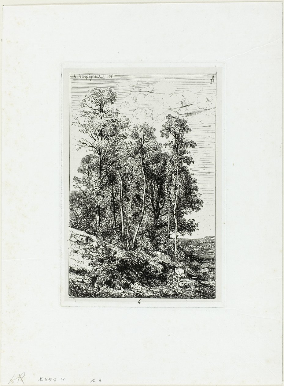 Birches and Oaks by Henri Joseph Harpignies