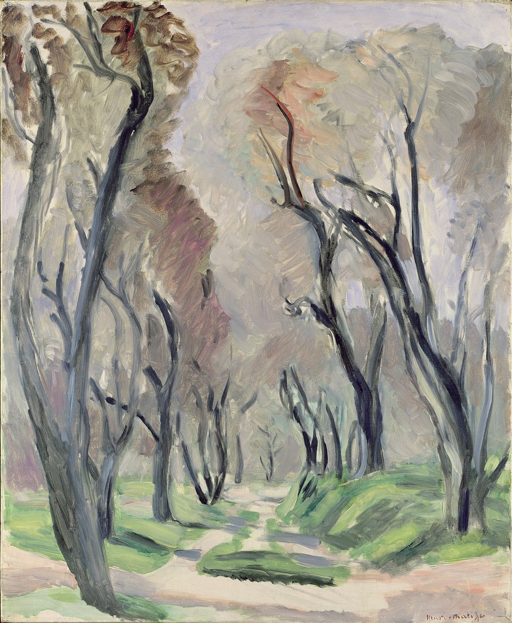 Avenue of Olive Trees by Henri Matisse
