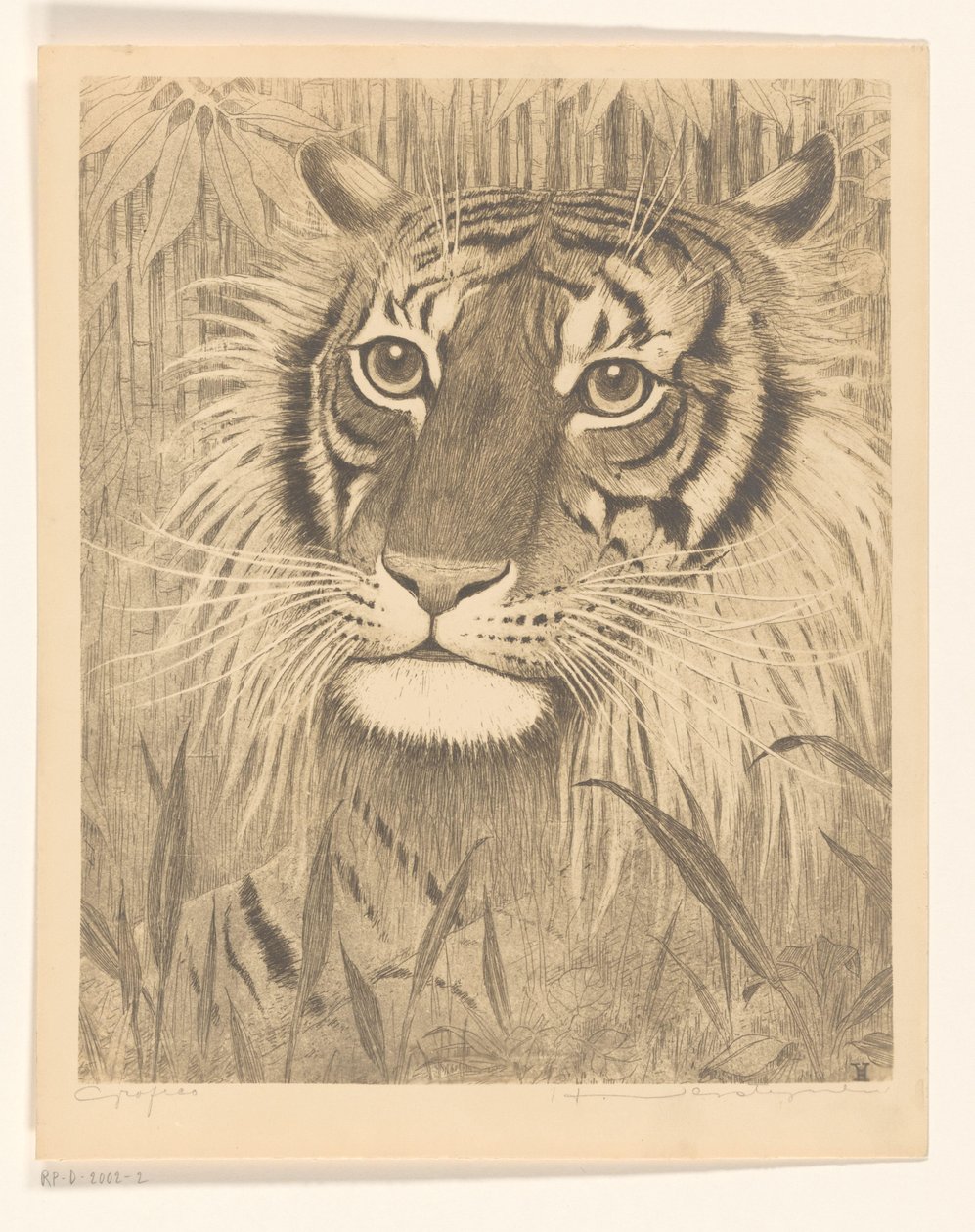 Head of a Tiger by Henri Verstijnen (signed by artist)