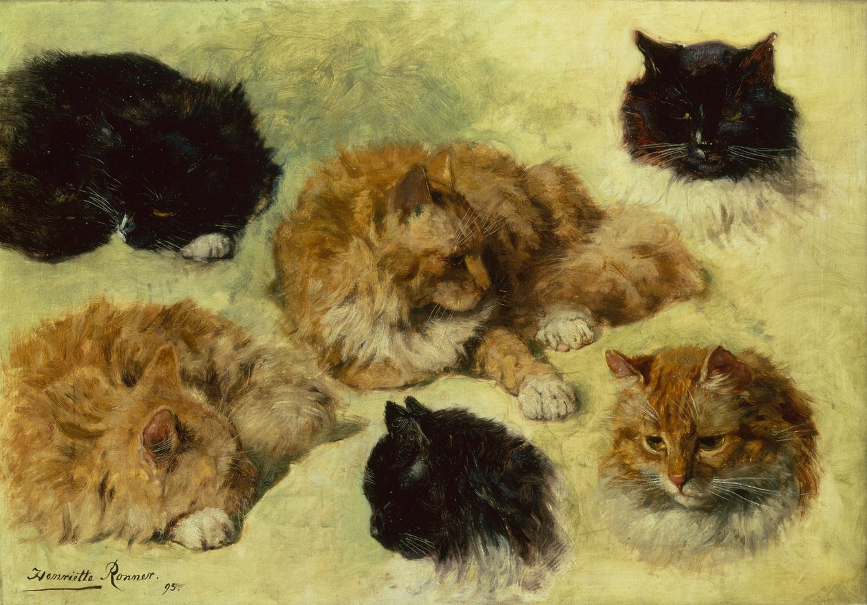 Studies of Cats by Henriëtte Ronner Knip