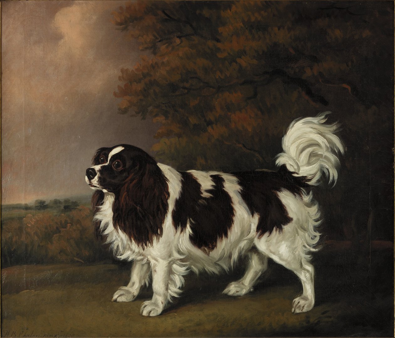 Study of a King Charles Spaniel by Henry Bernard Chalon