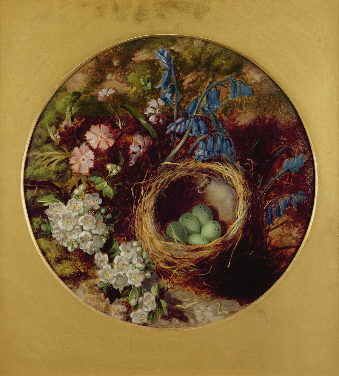 A Still Life with Bird