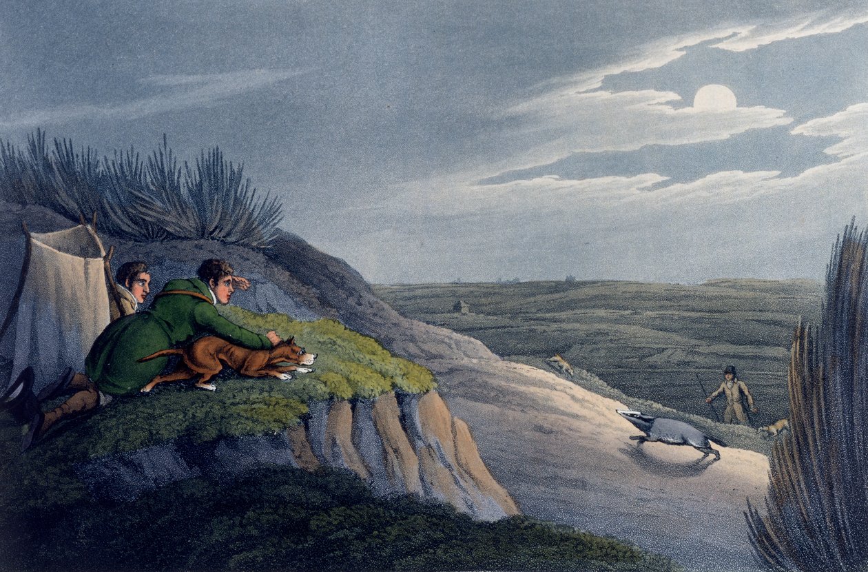 Badger Catching, 1820 by Henry Thomas Alken