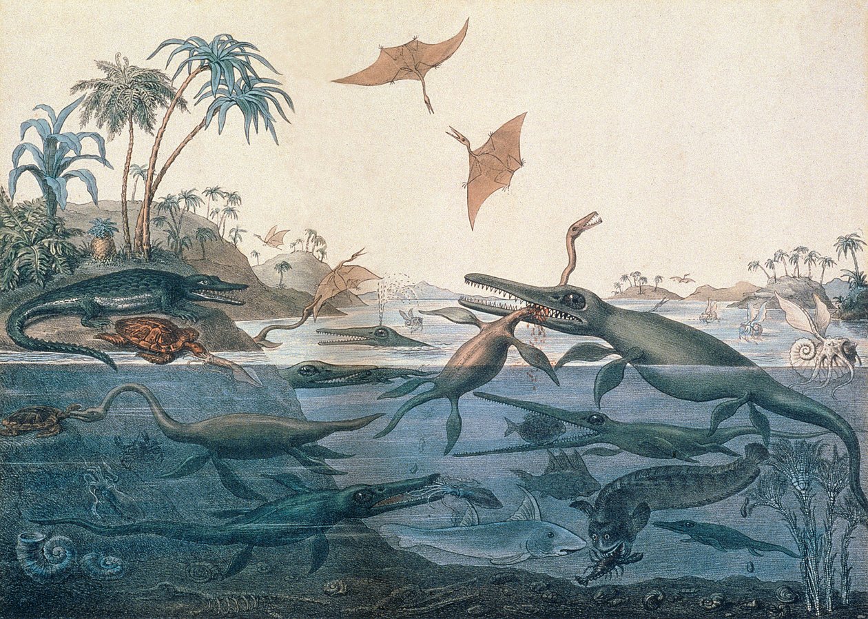 Duria antiquior (Ancient Dorset), an imaginative reconstruction of the life of the Jurassic seas (engraved by George Scharf, printed by Charles Joseph Hullmandel) by Henry Thomas De La Beche