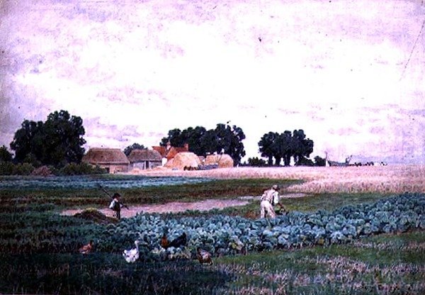 Cabbage Field and Farm by Henry Bailey