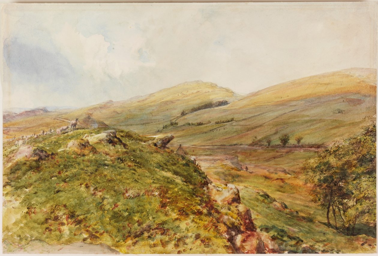 Cockmount Hill by Henry Burdon Richardson