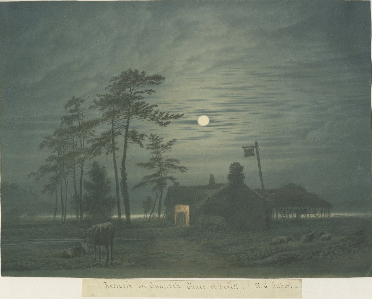 Cannock Chase by Henry Curzon Allport