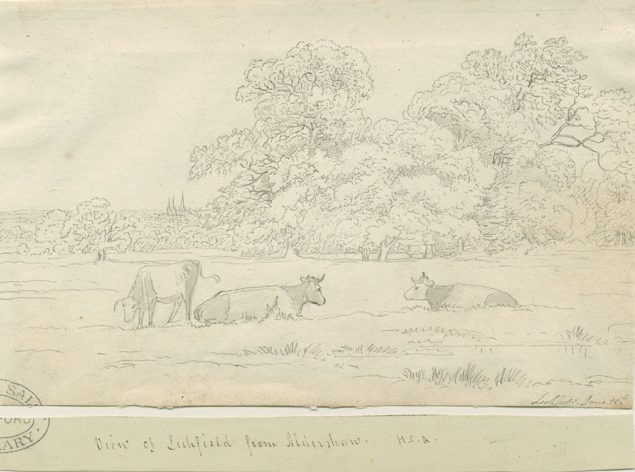 Lichfield - View from Aldershaw by Henry Curzon Allport