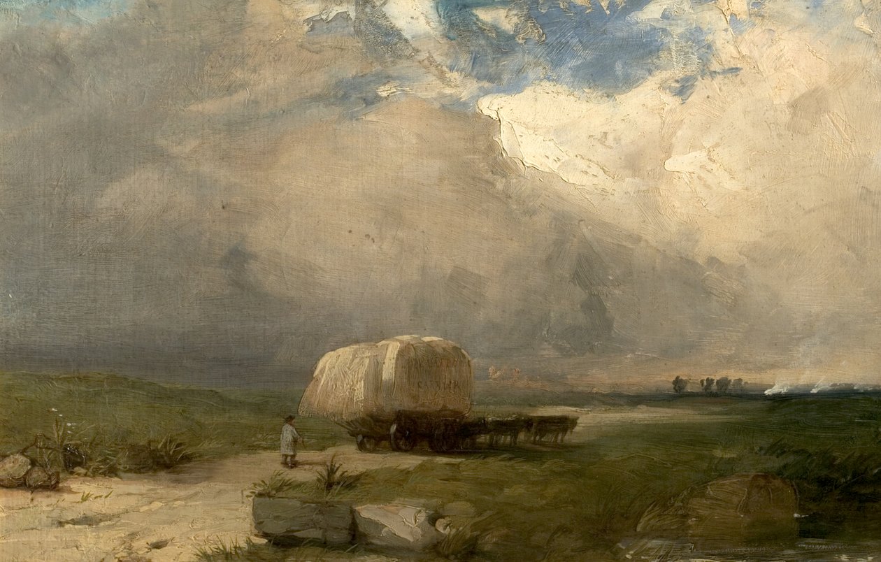 The Carrier