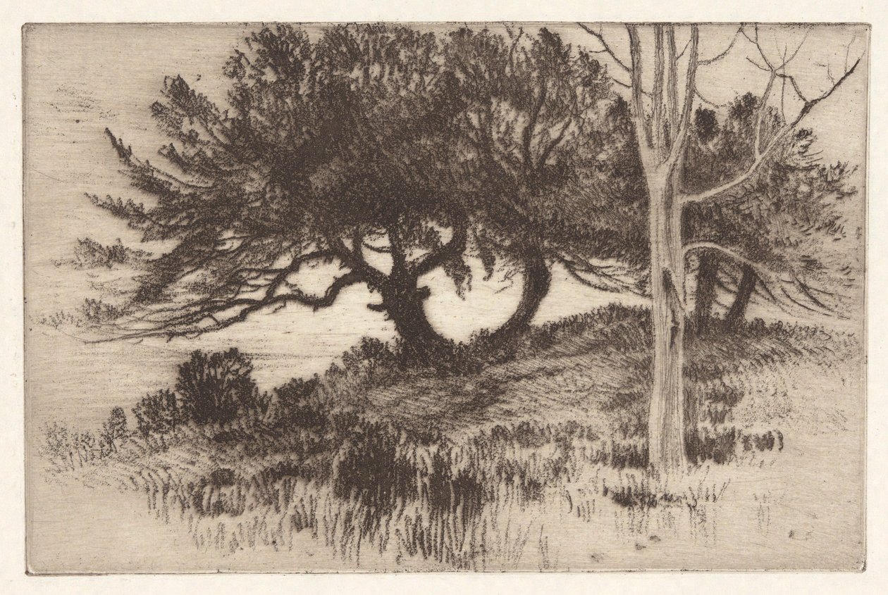 Near the Sea by Henry Farrer