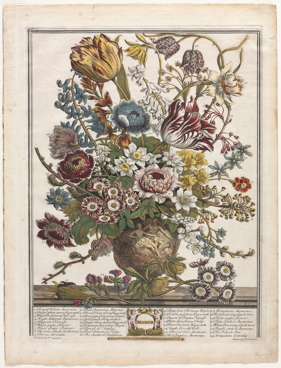 Twelve Months of Flowers: March by Henry Fletcher