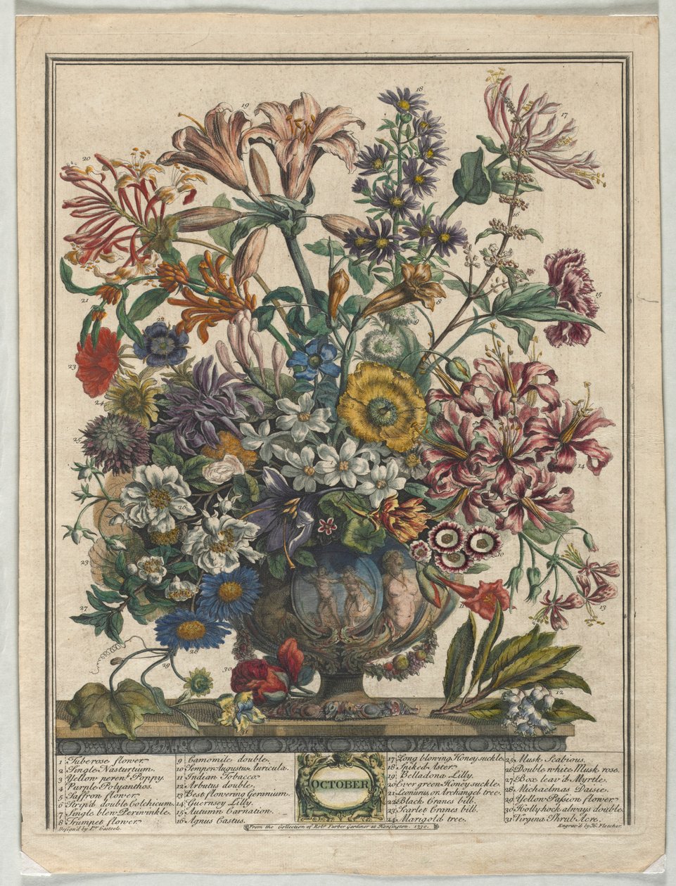 Twelve Months of Flowers: October by Henry Fletcher