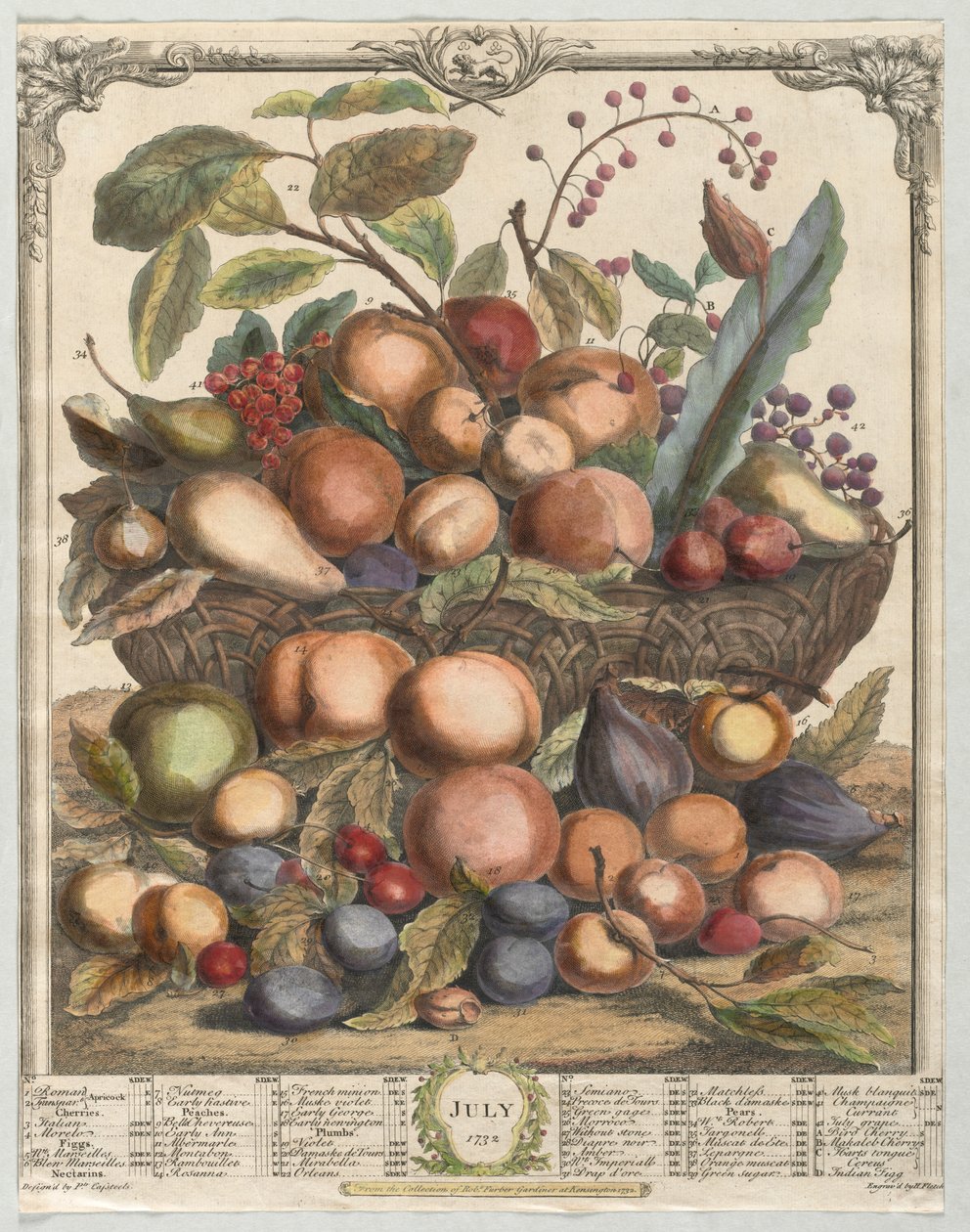 Twelve Months of Fruit: July by Henry Fletcher