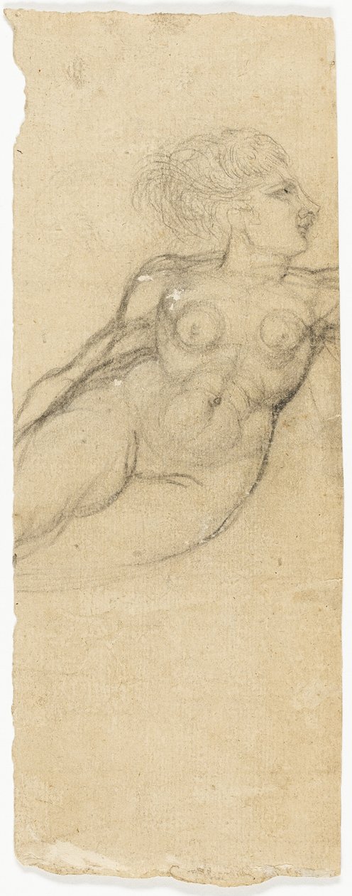 Studies of Nudes by Henry Fuseli
