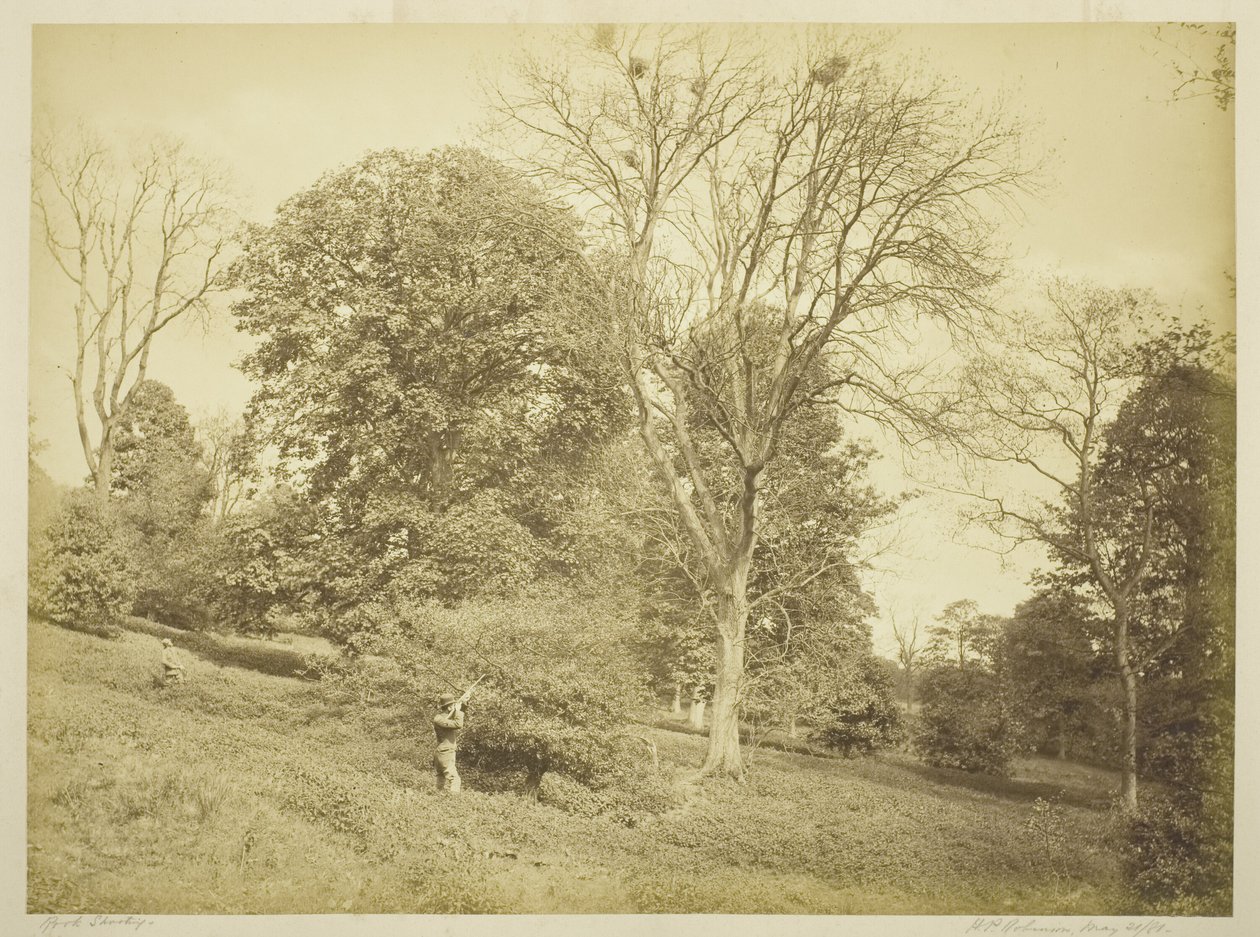 Rook Shooting by Henry Peach Robinson