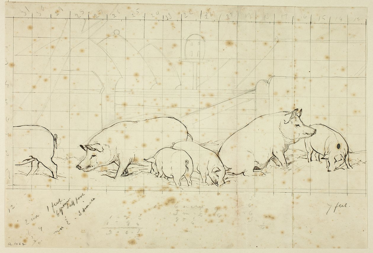 Pigs by Henry Stacy Marks