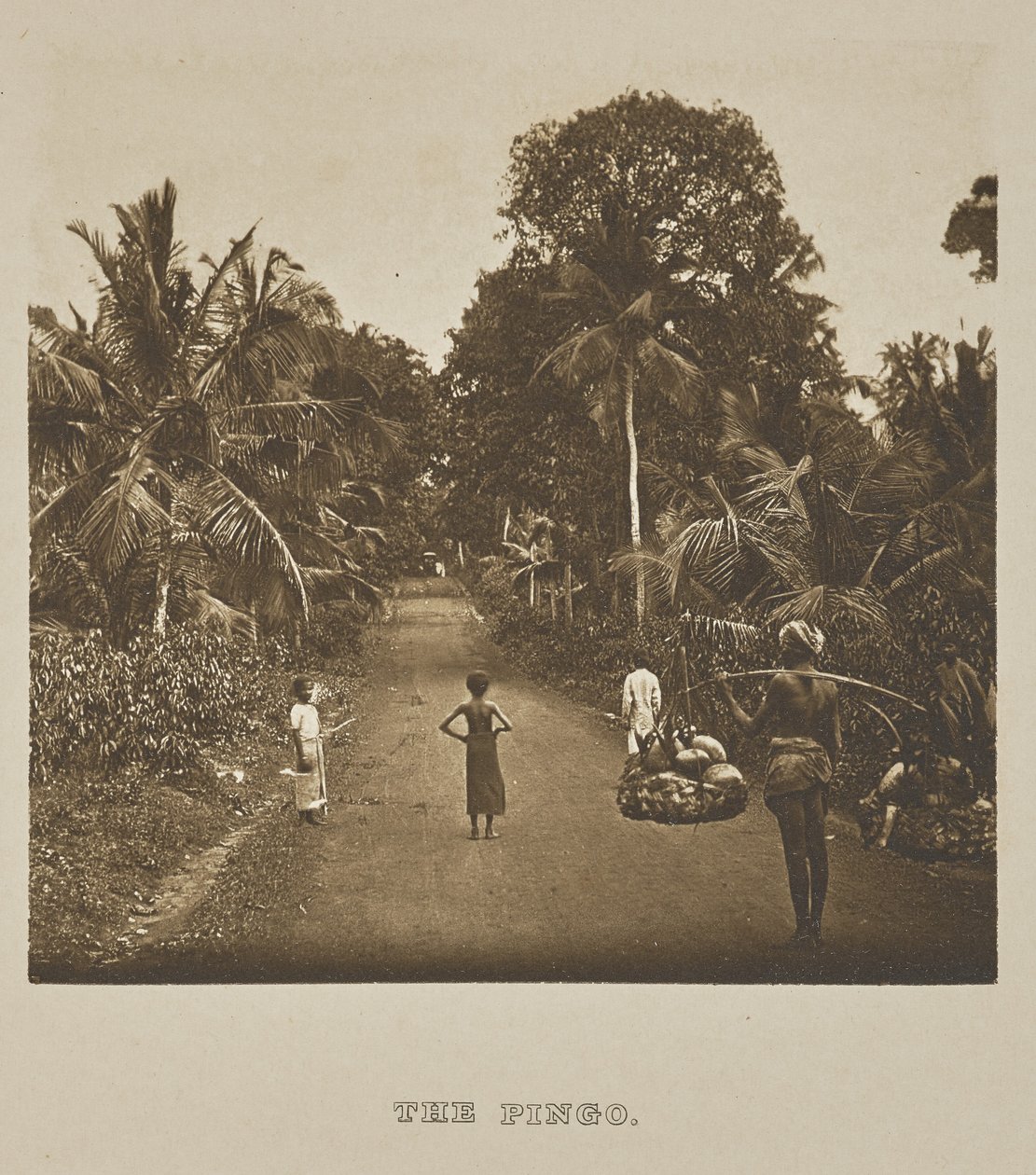 The Pingo by Henry W. Cave