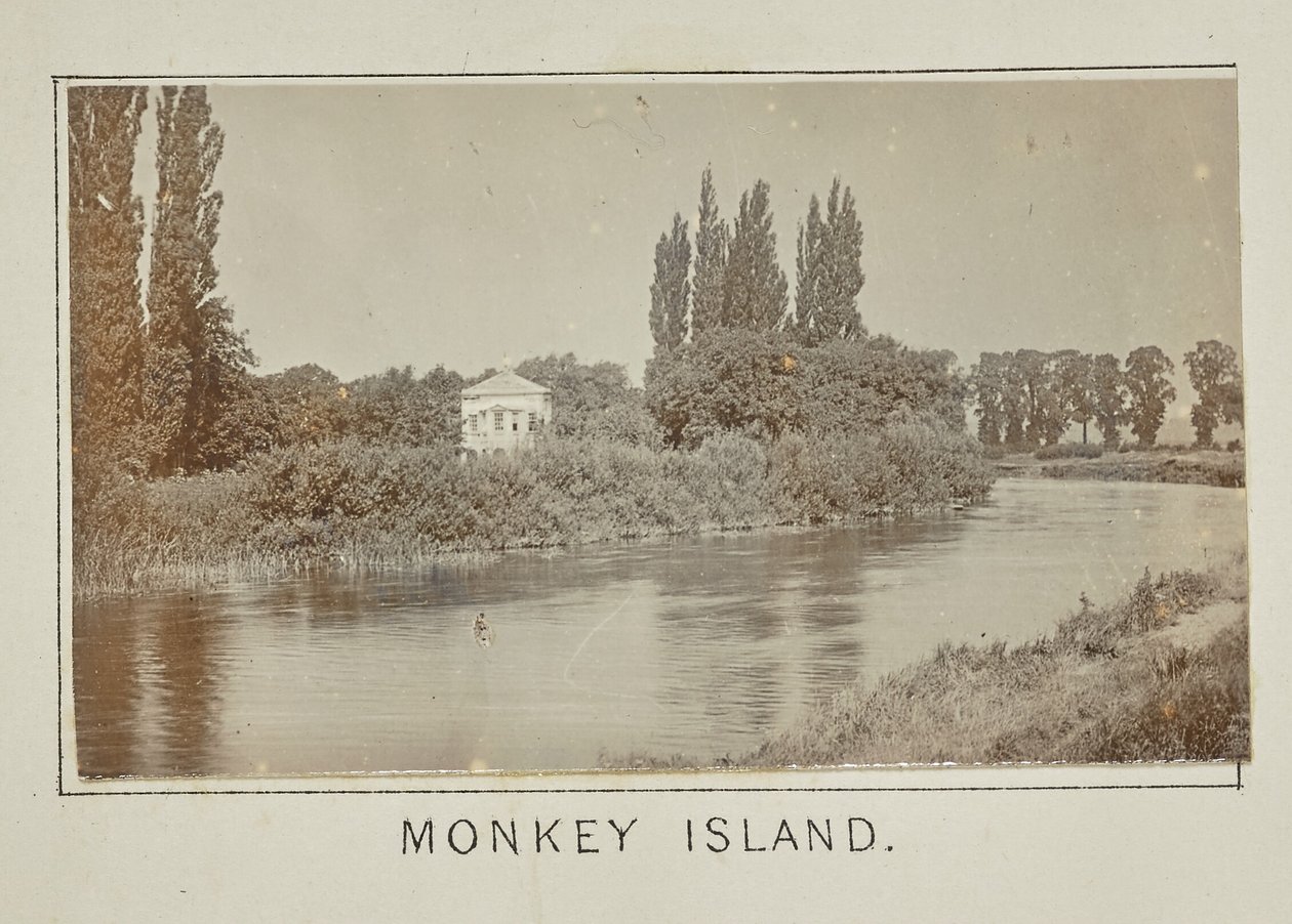 Monkey Island by Henry W. Taunt