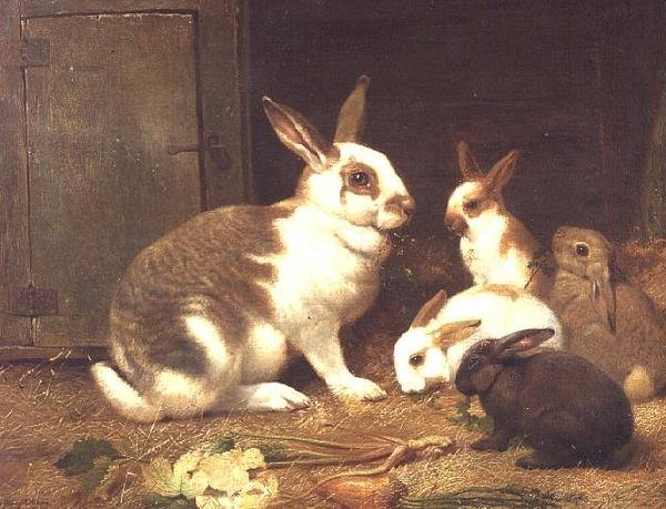 Rabbits Feeding by Henry William Carter