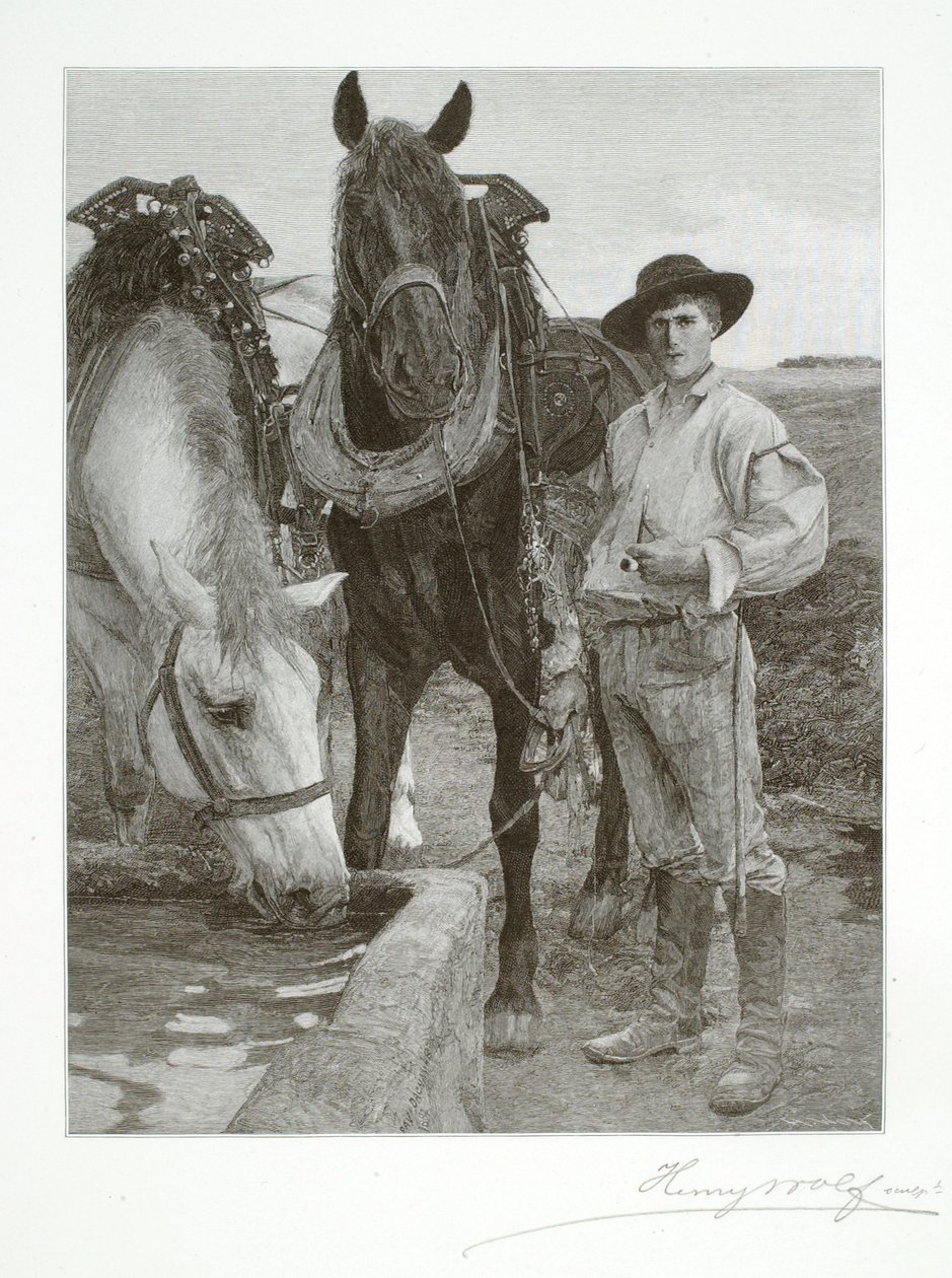 Horses at the Watering Trough by Henry Wolf