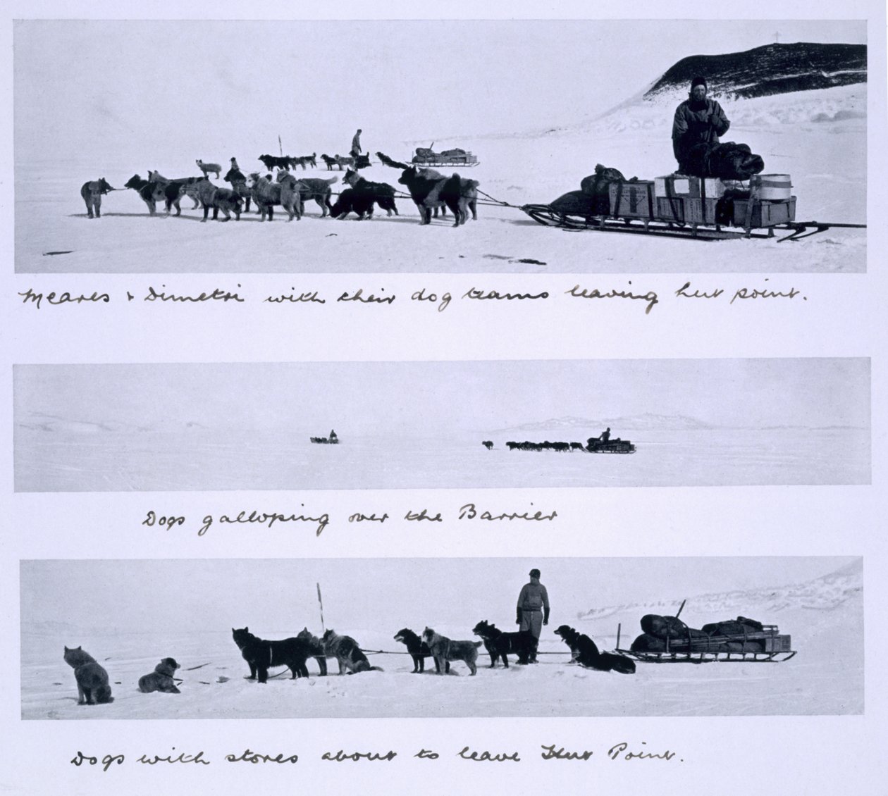Three Views of the Dog Teams Led by Meares and Dimetri on the 