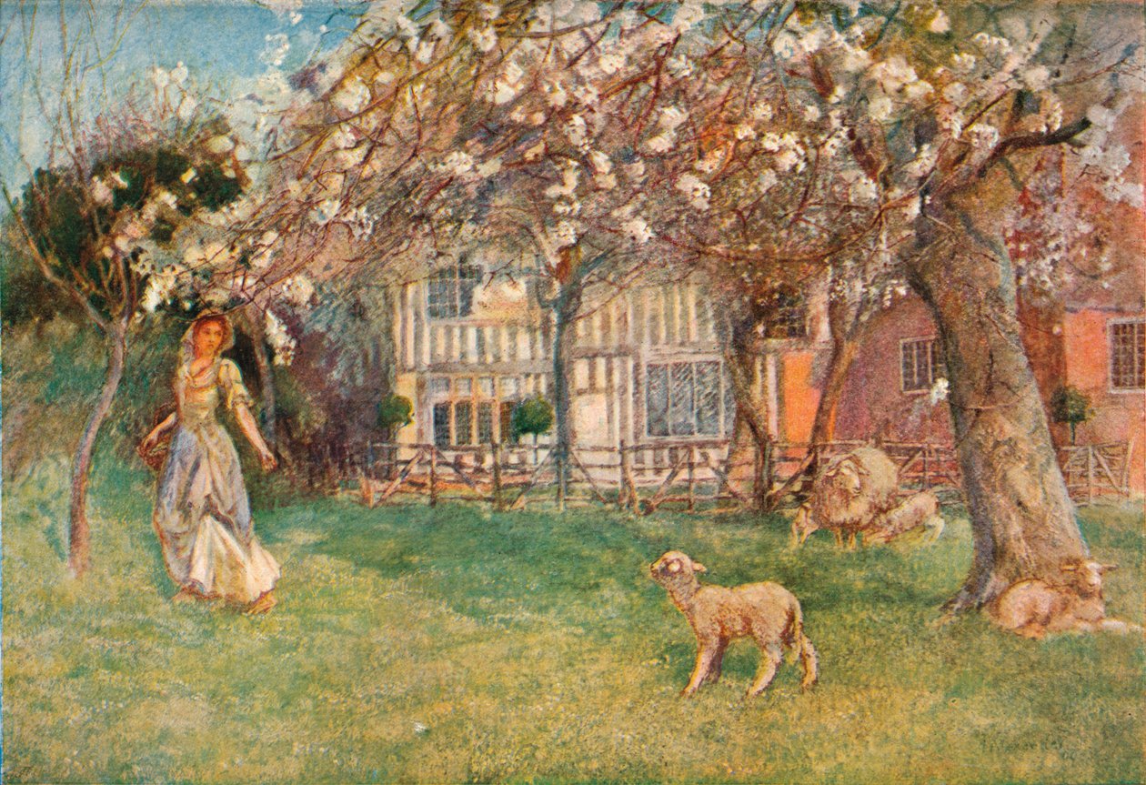 Lambs by Herbert Alexander Collins