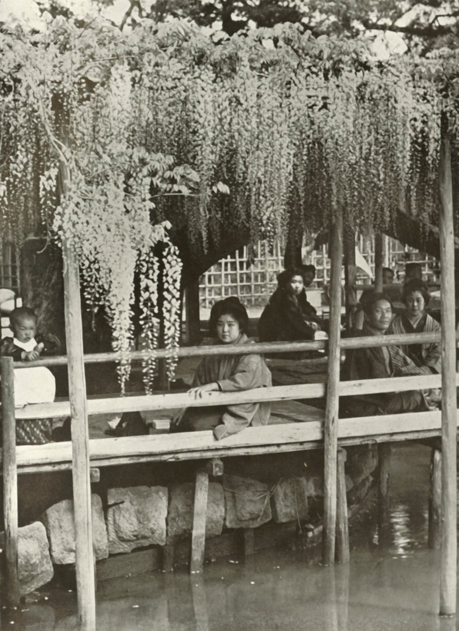 A Wisteria Arbour at Kameido by Herbert Ponting