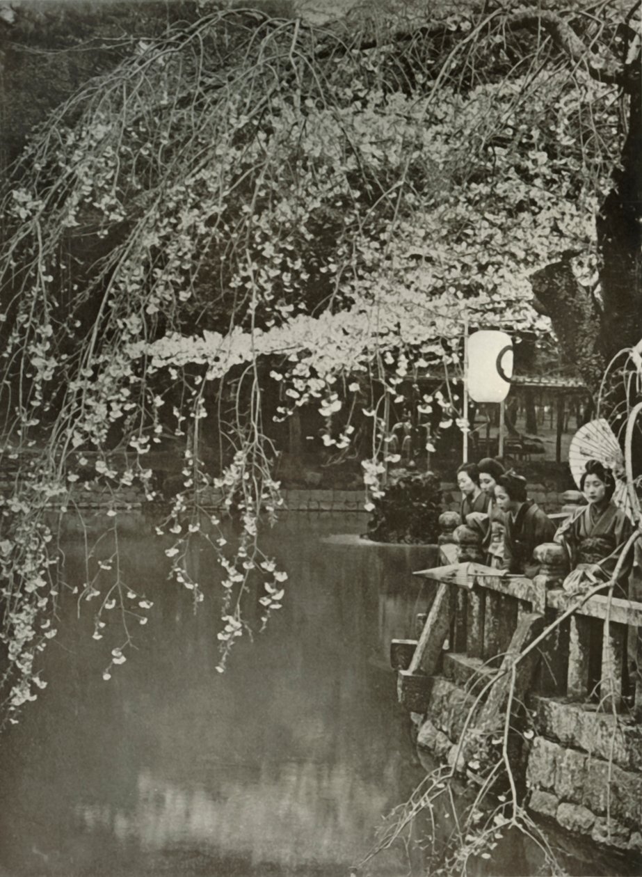 Cherry-Blossom Time in Japan, 1910 by Herbert Ponting