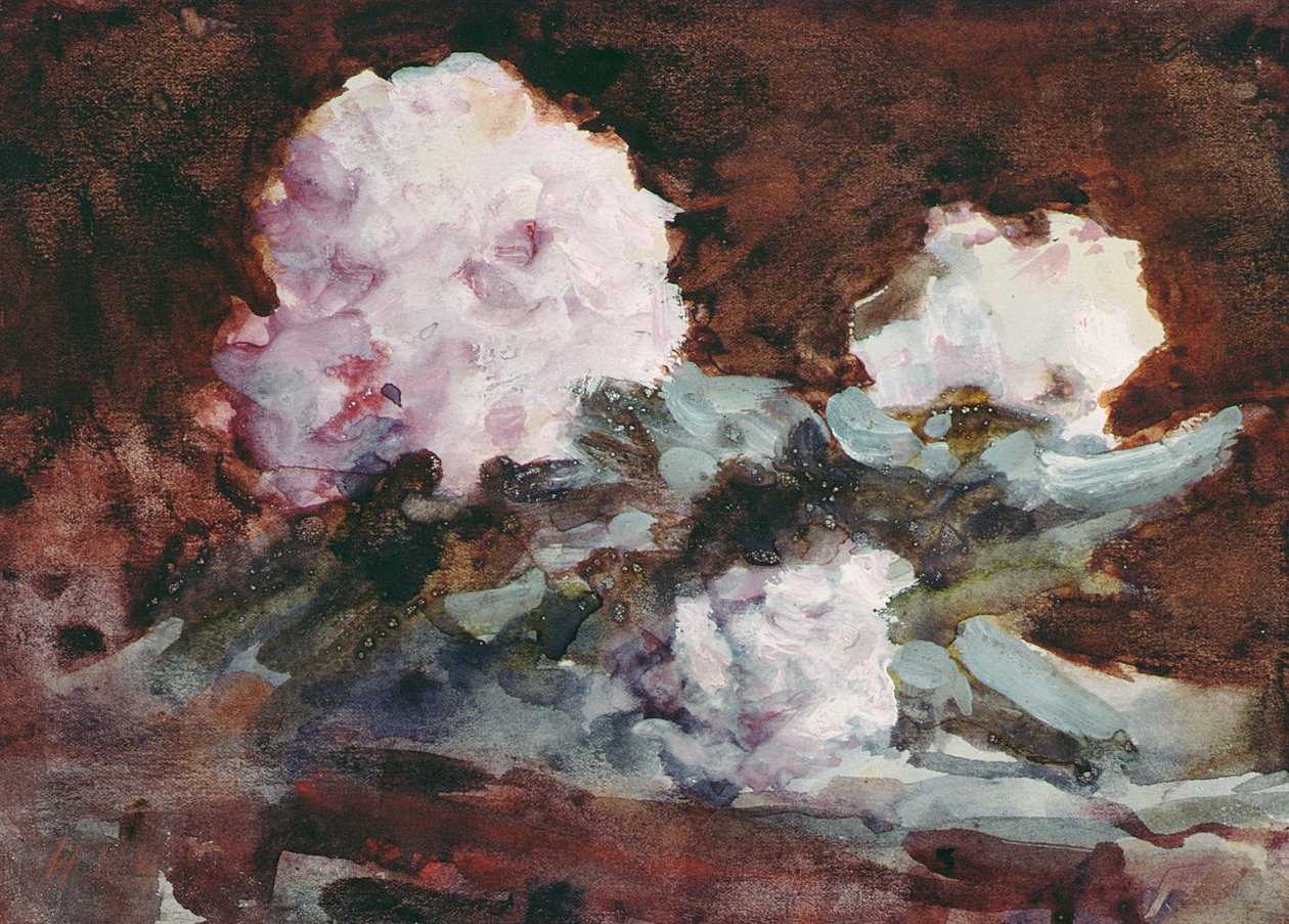 Rhododendrons by Hercules Brabazon Brabazon