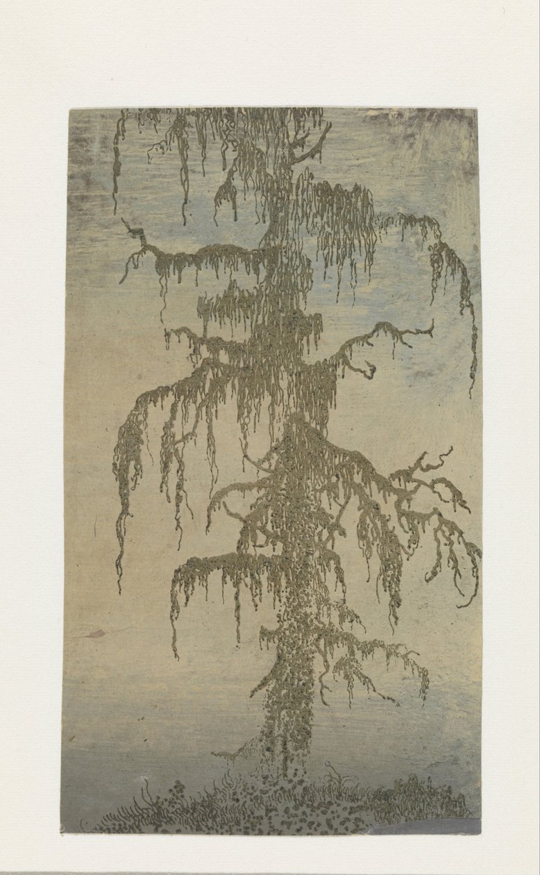 The Mossy Tree by Hercules Segers