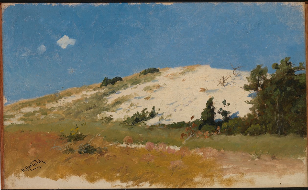 Cape Cod, Sand Dune by Herman Hartwich