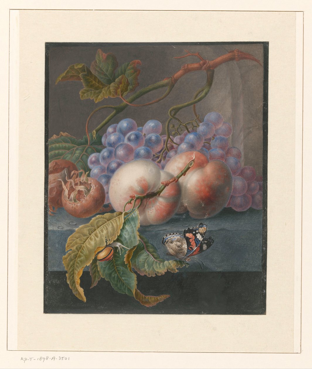 Fruits with a Butterfly and a Snail by Herman Henstenburgh