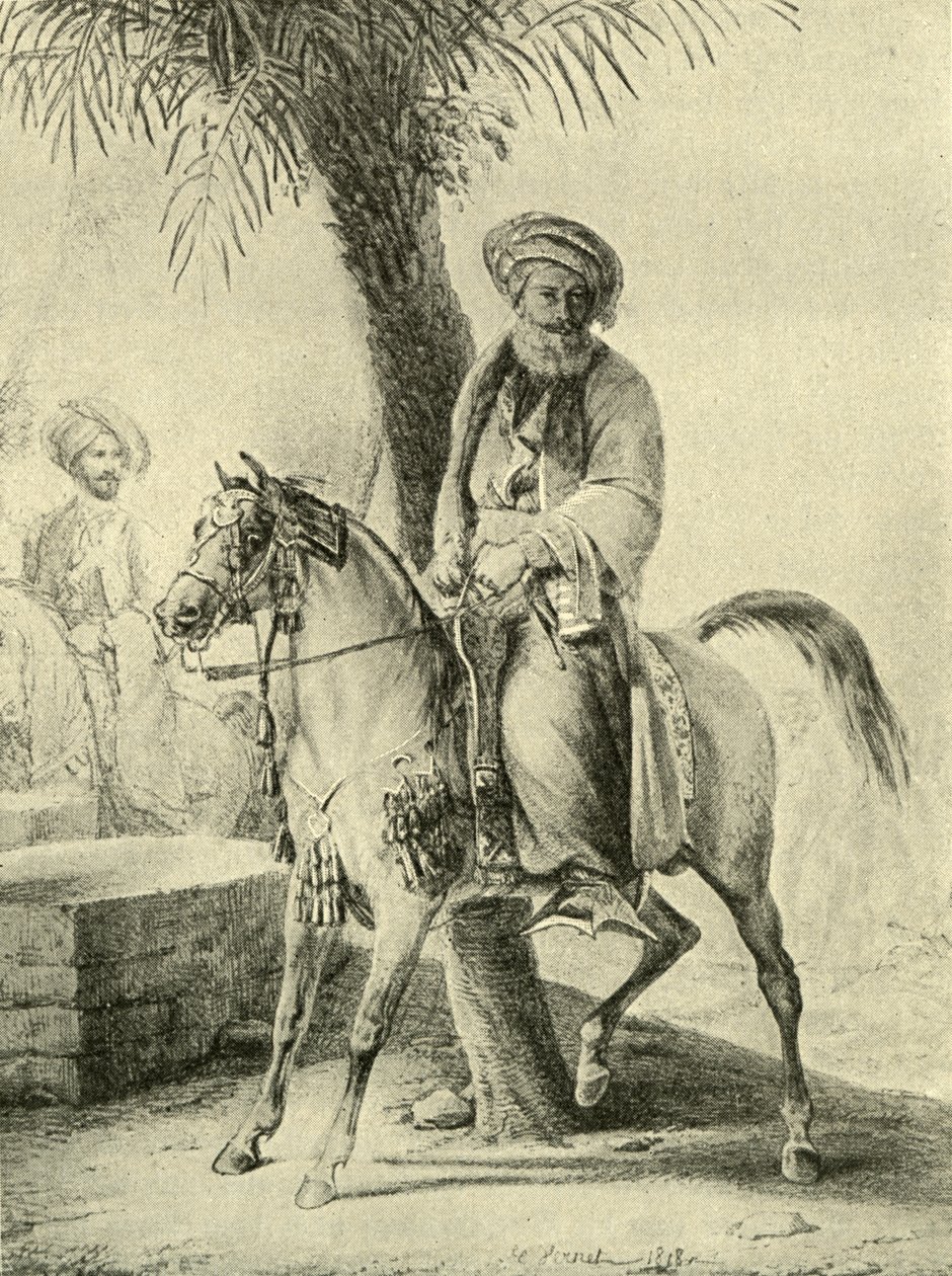 Muhammad Ali of Egypt by Emile Jean Horace Vernet