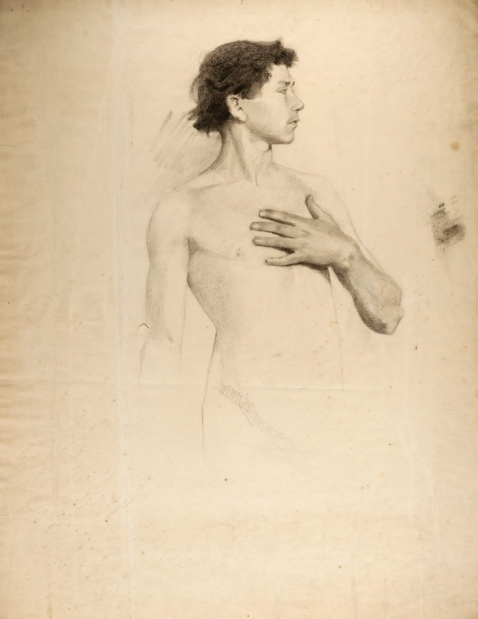 Nude Boy, Torso and Head by Howard Russell Butler