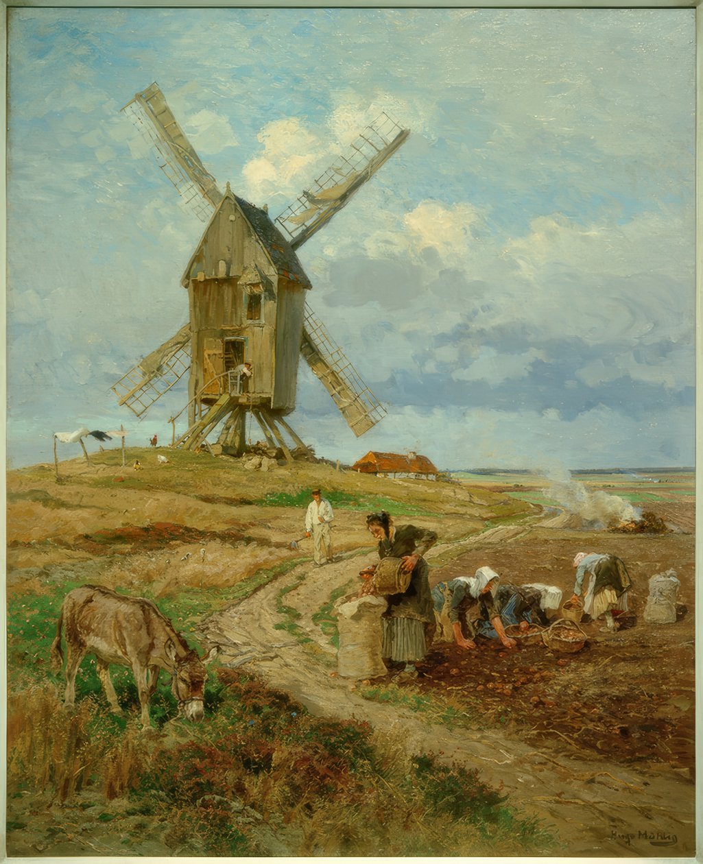 Potato Harvest by Hugo Muhlig