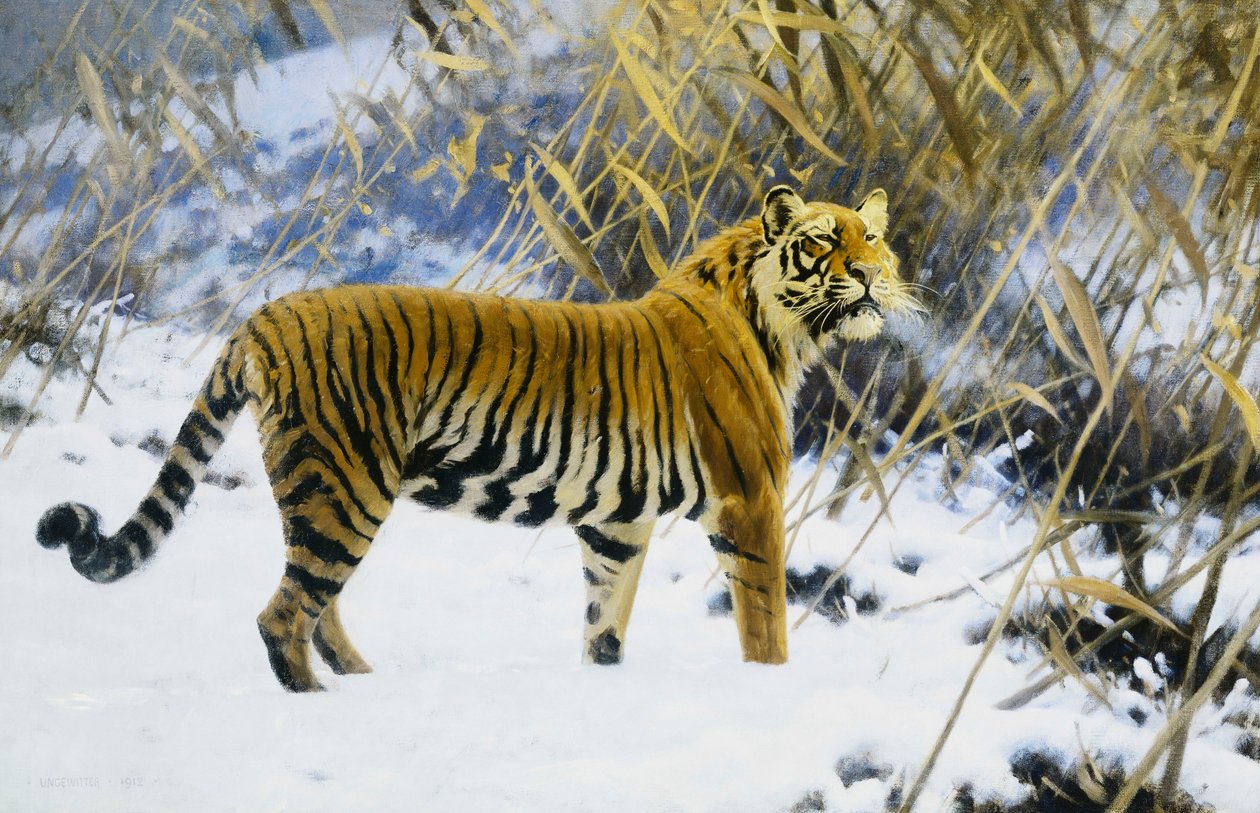Tiger in a Winter Landscape by Hugo Ungewitter