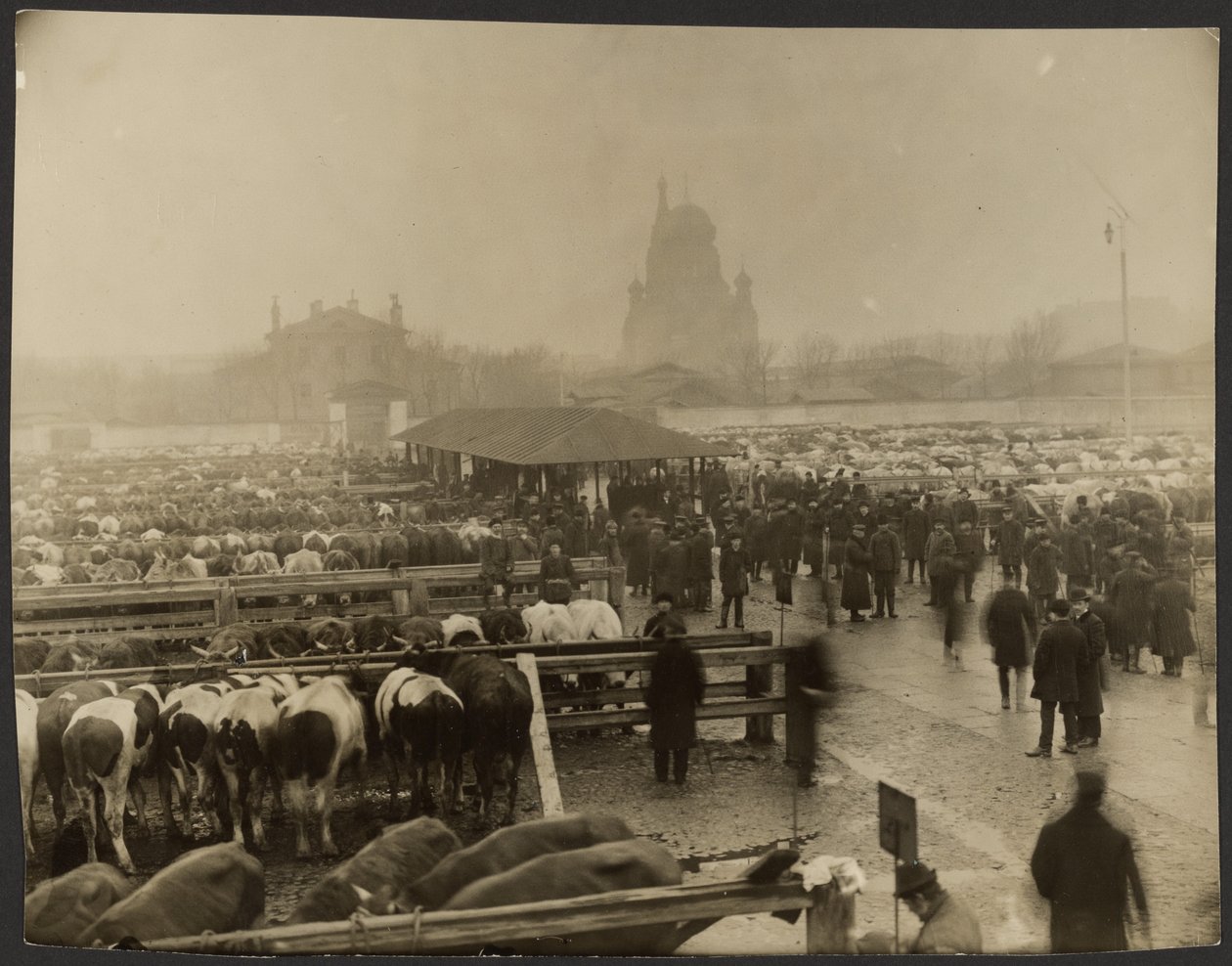 Concerning Events at Slaughterhouse: The Stockyard by Iakob Vladimirovich Shteinberg