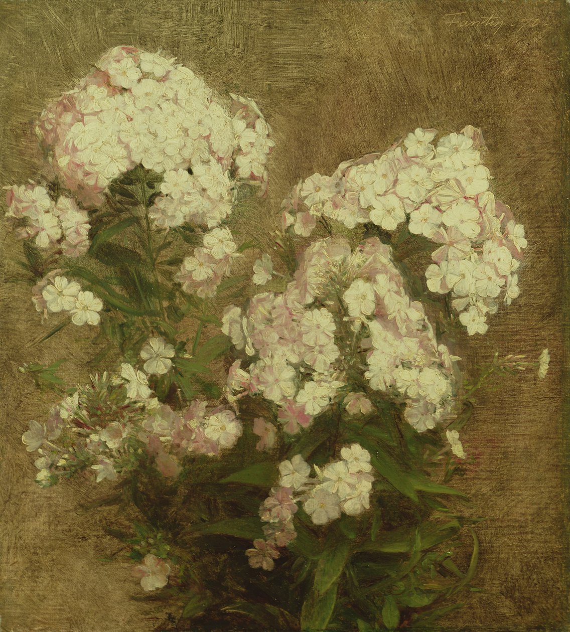 Phlox by Ignace Henri Jean Fantin Latour