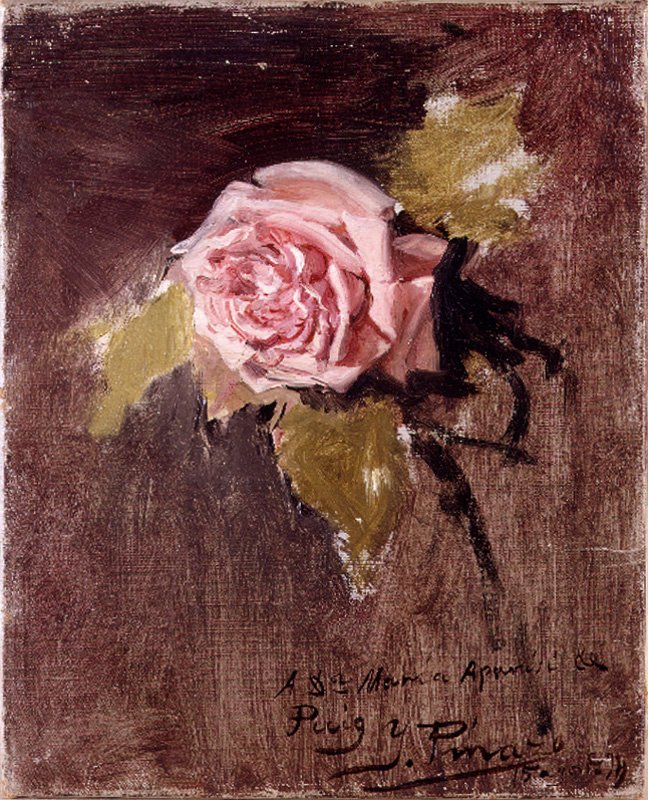 A Rose by Ignacio Pinazo Camarlench