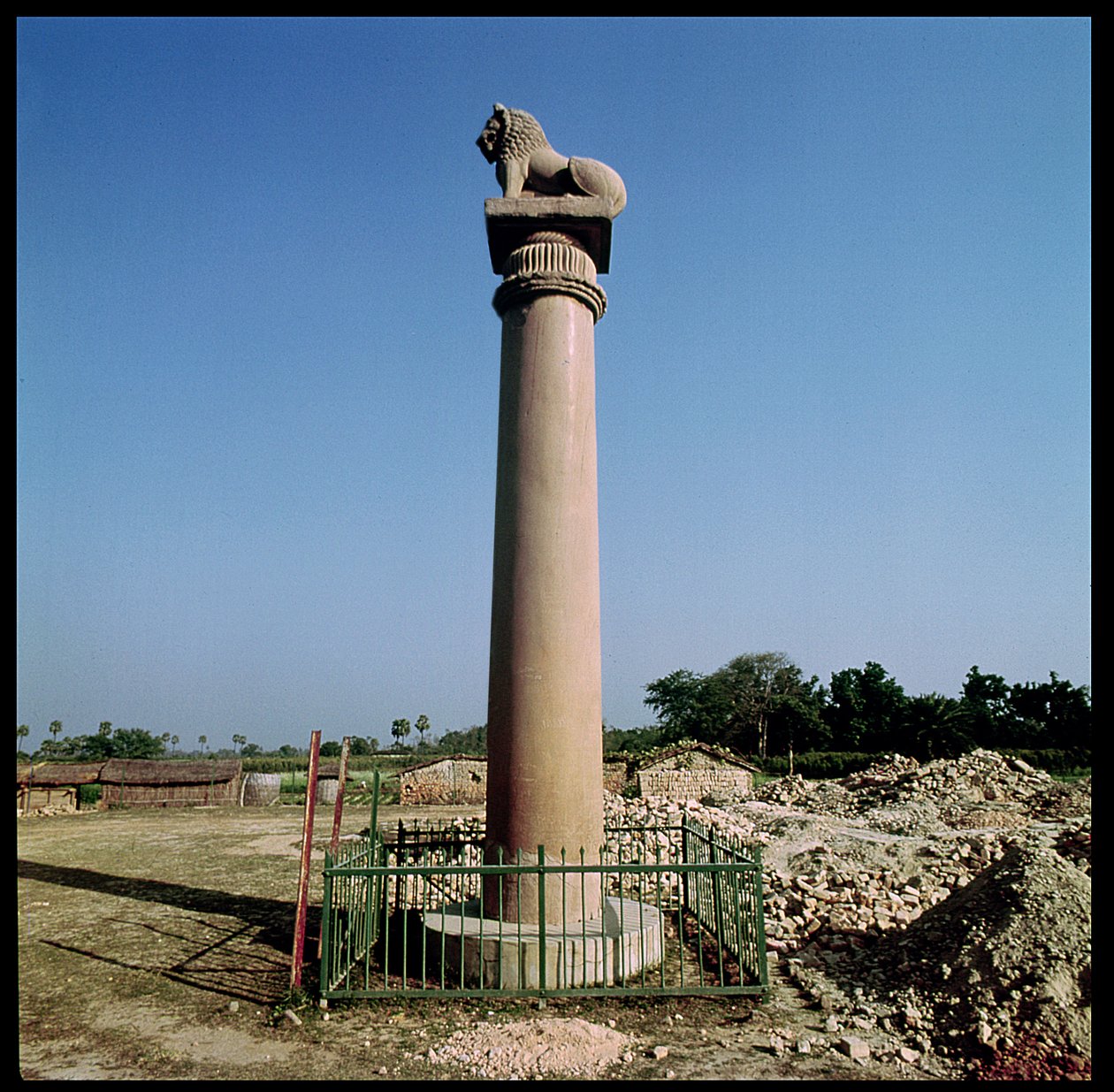 Lion Pillar of Emperor Ashoka at the Monkey Pond by Indian