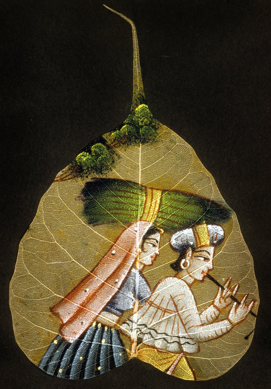 Painting on a Dried Leaf by Indian School