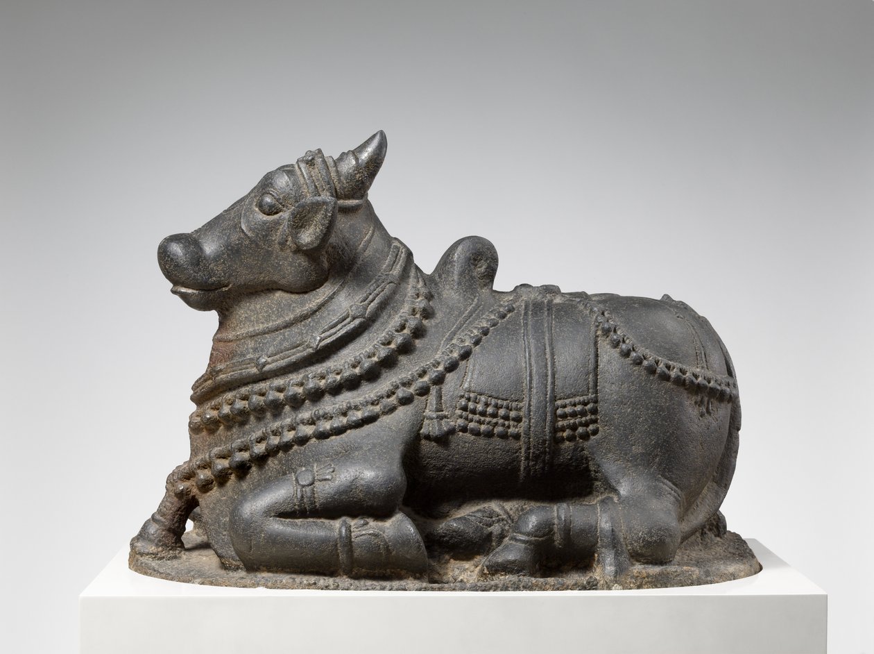 Nandi by Indian School