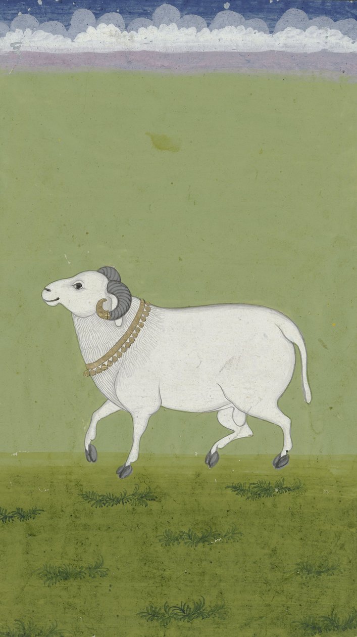 Ram with Golden Collar by Indian School