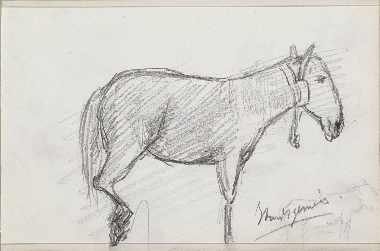 Horse by Isaac Gosschalk